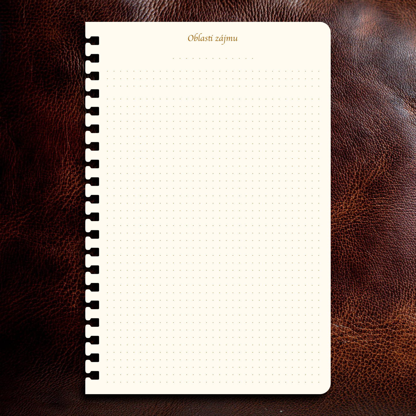 Příloha - Oblasti zájmů