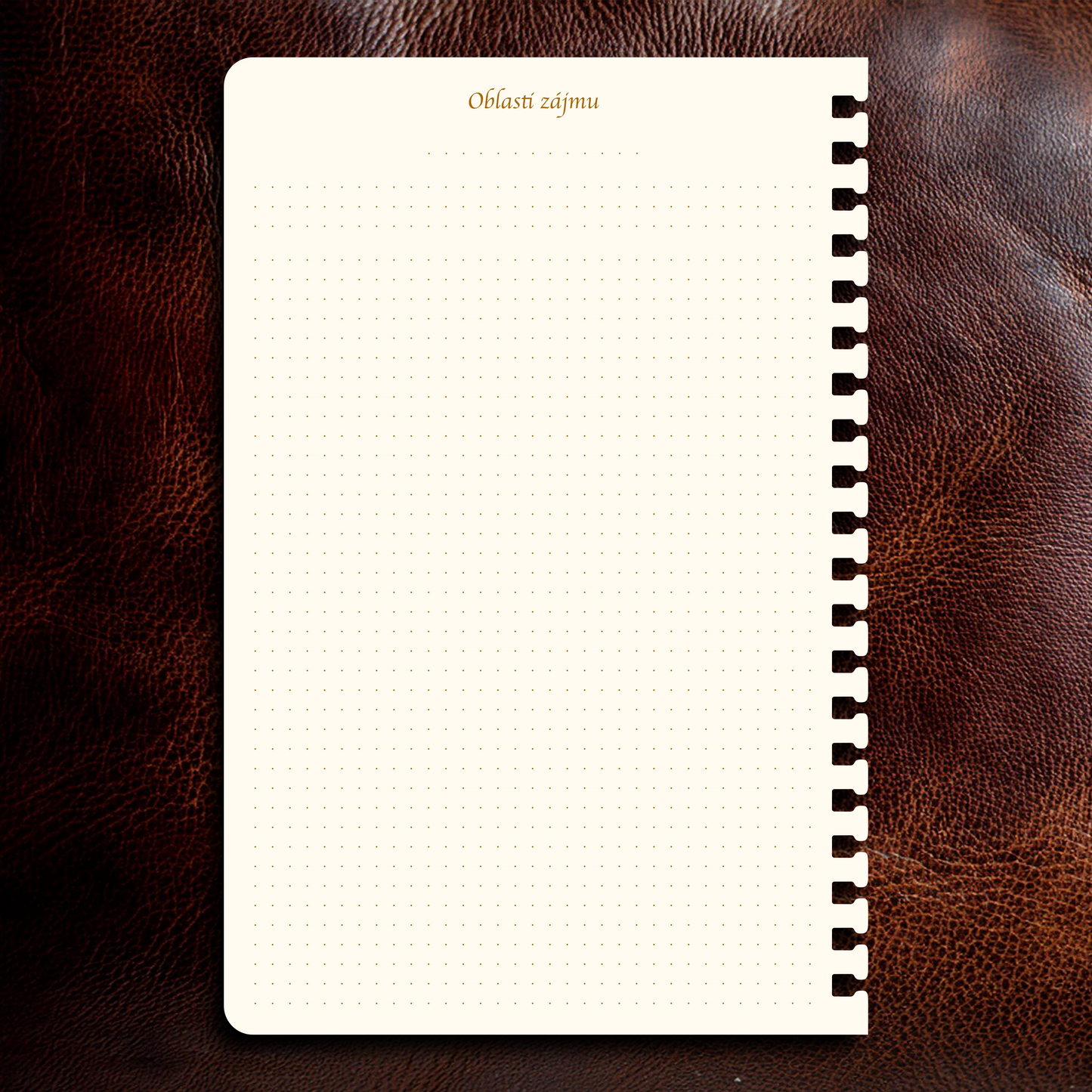 Příloha - Oblasti zájmů