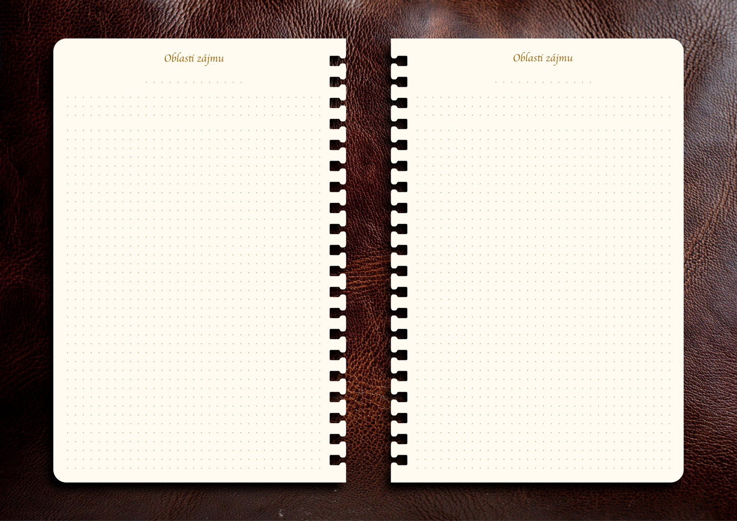 Příloha - Oblasti zájmů