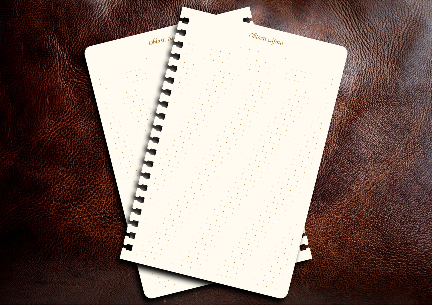 Příloha - Oblasti zájmů