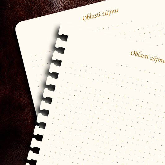 Příloha - Oblasti zájmů