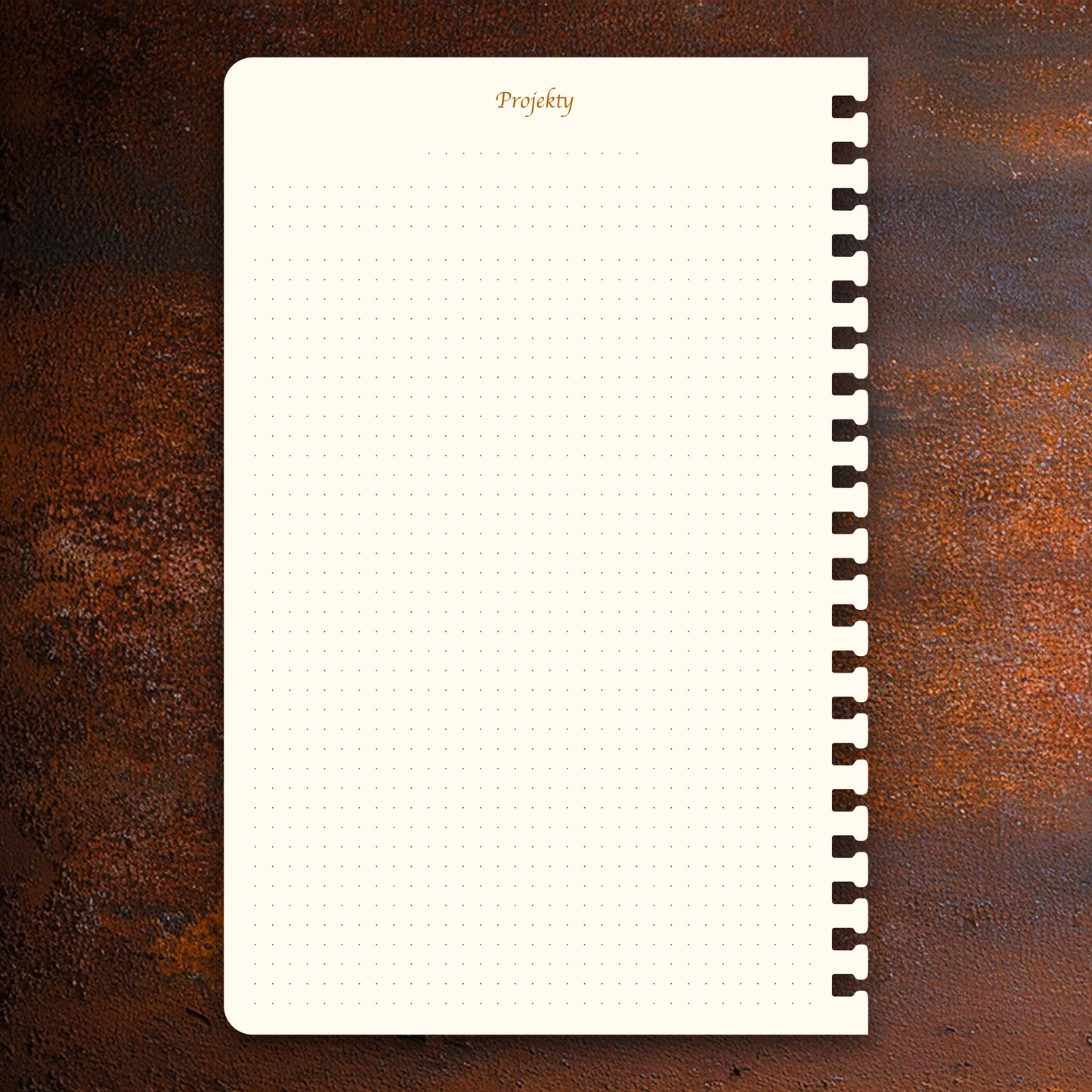 Příloha - Projekty