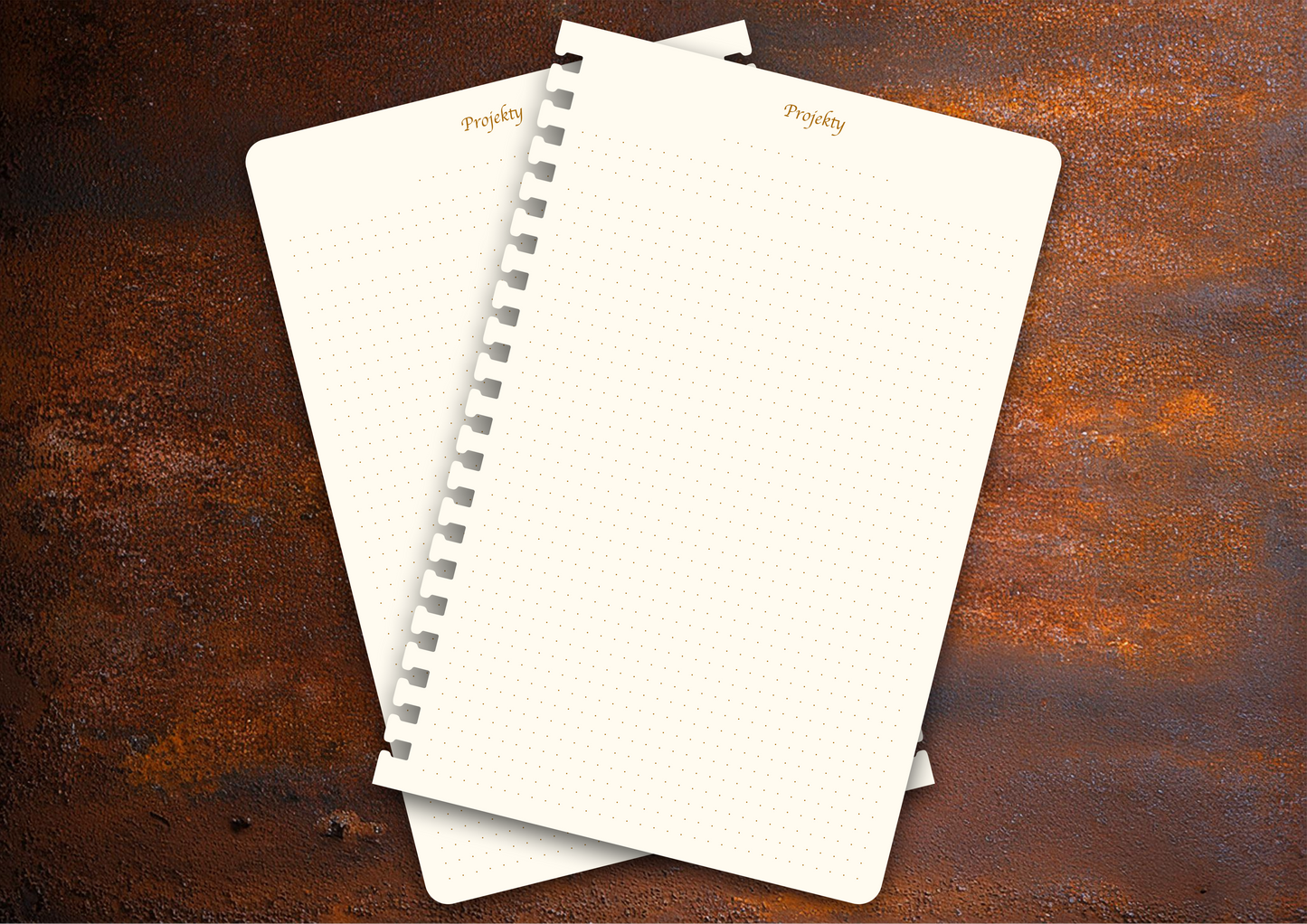 Příloha - Projekty