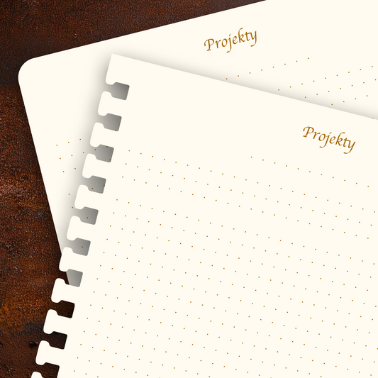 Příloha - Projekty