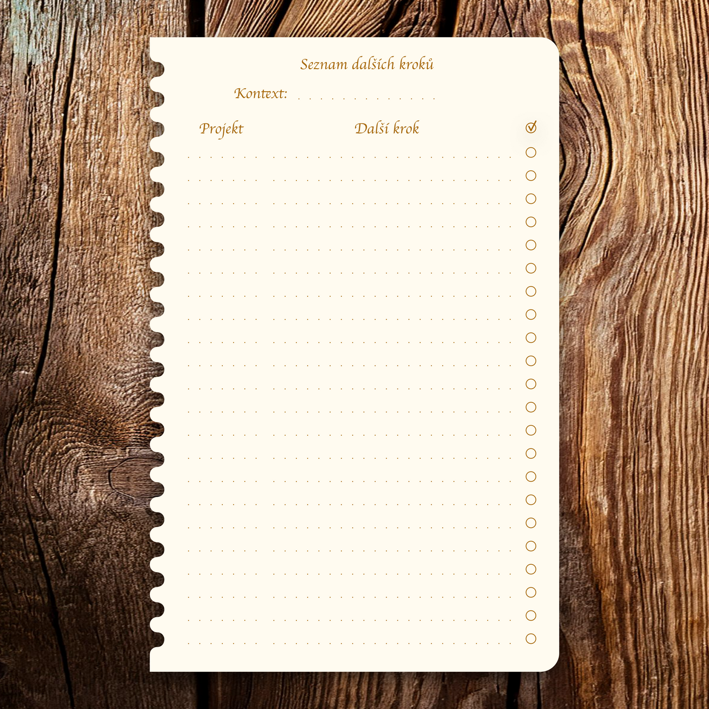 Příloha - Seznam dalších kroků