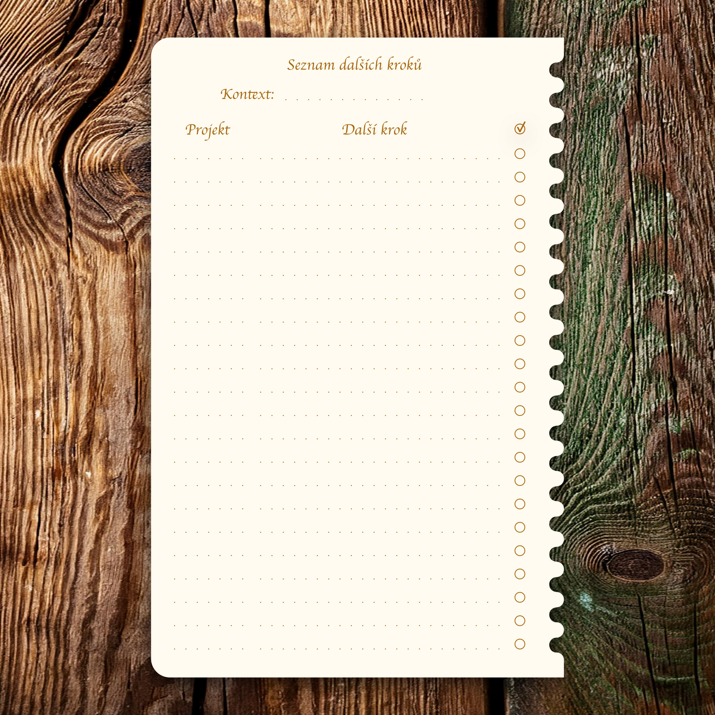 Příloha - Seznam dalších kroků