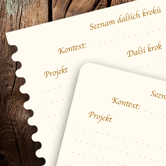 Příloha - Seznam dalších kroků