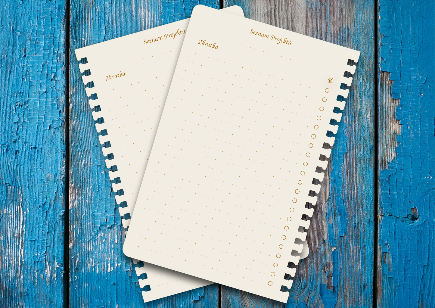 Příloha - Seznam projektů