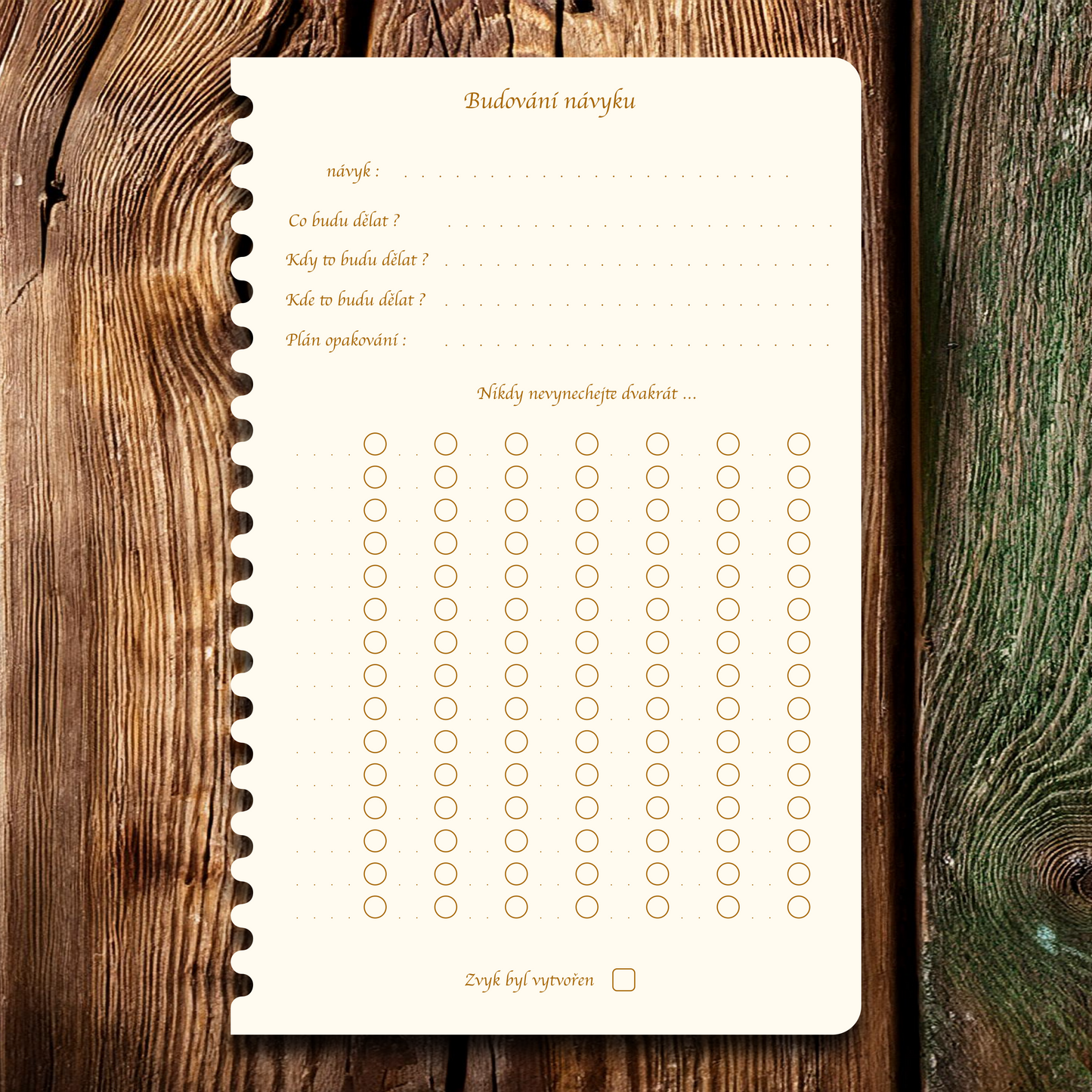 Příloha pro budování návyků