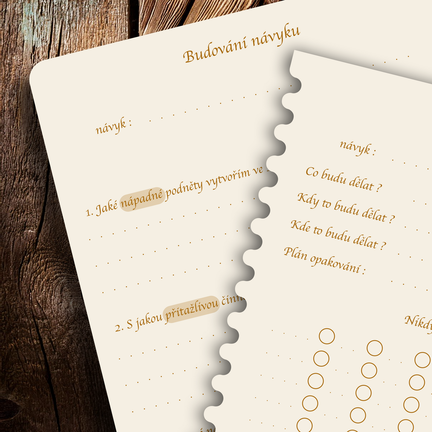 Příloha pro budování návyků