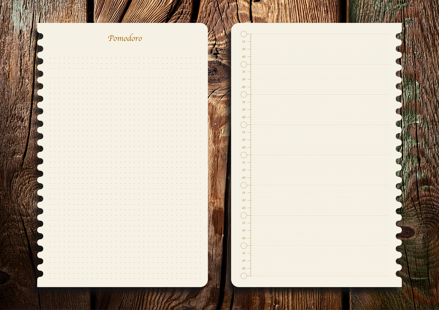 Příloha pro plánování soustředěné práce a efektivních přestávek POMODORO