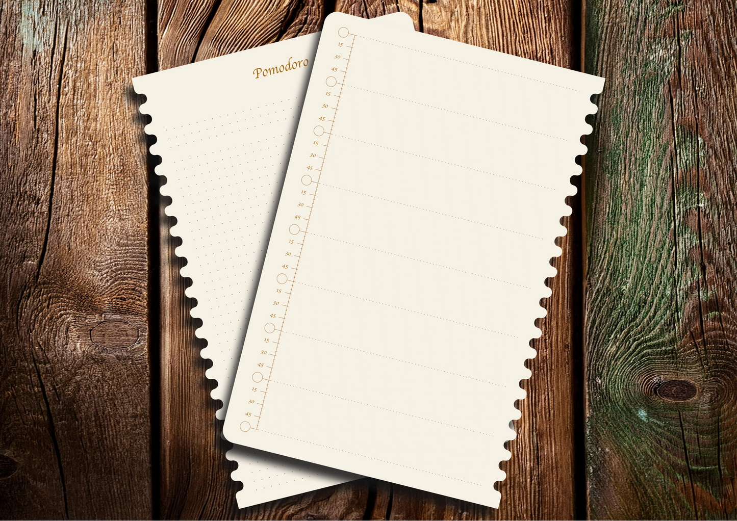 Příloha pro plánování soustředěné práce a efektivních přestávek POMODORO