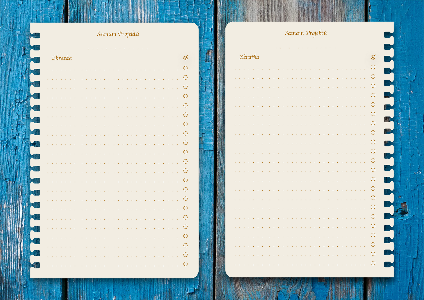 Příloha - Seznam projektů