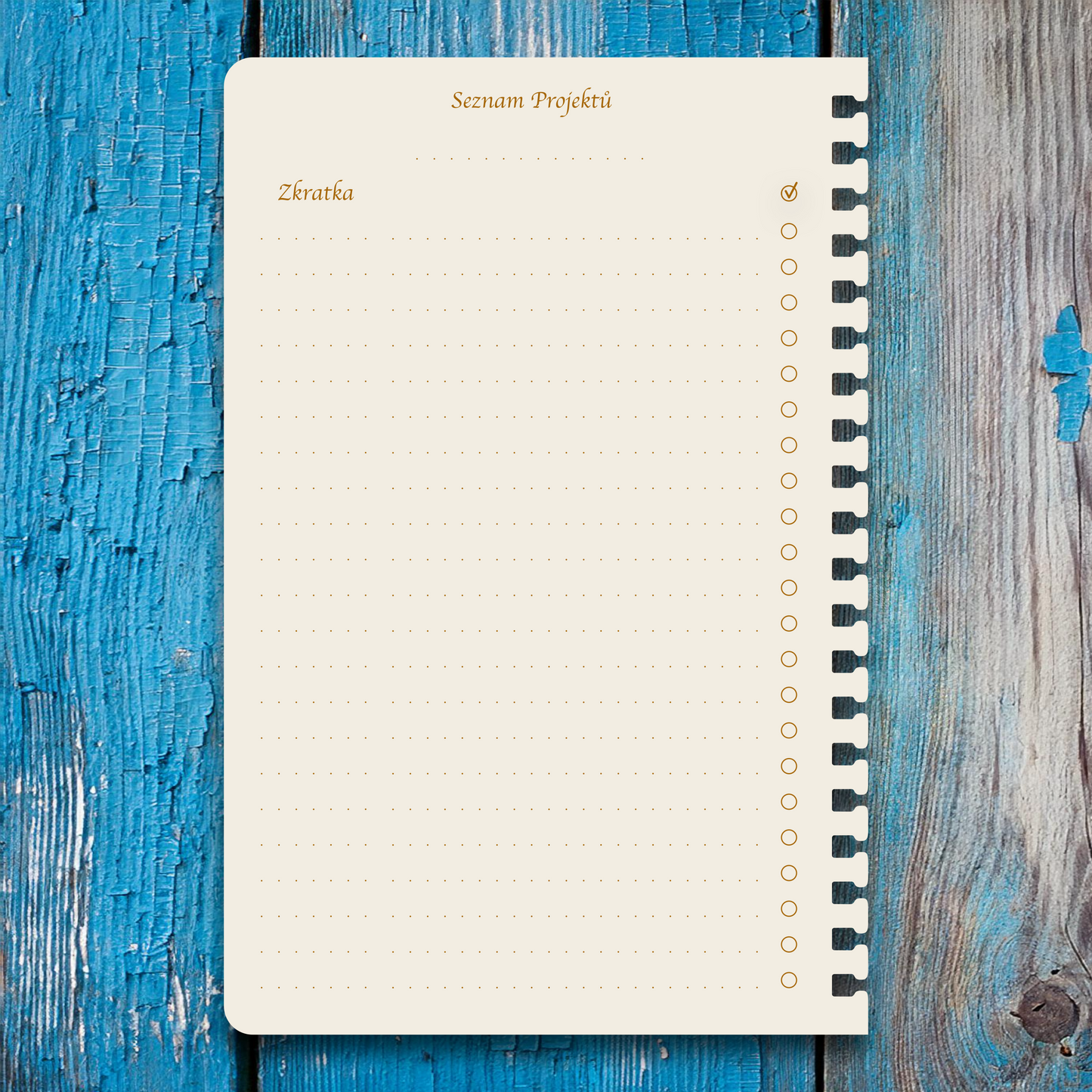 Příloha - Seznam projektů