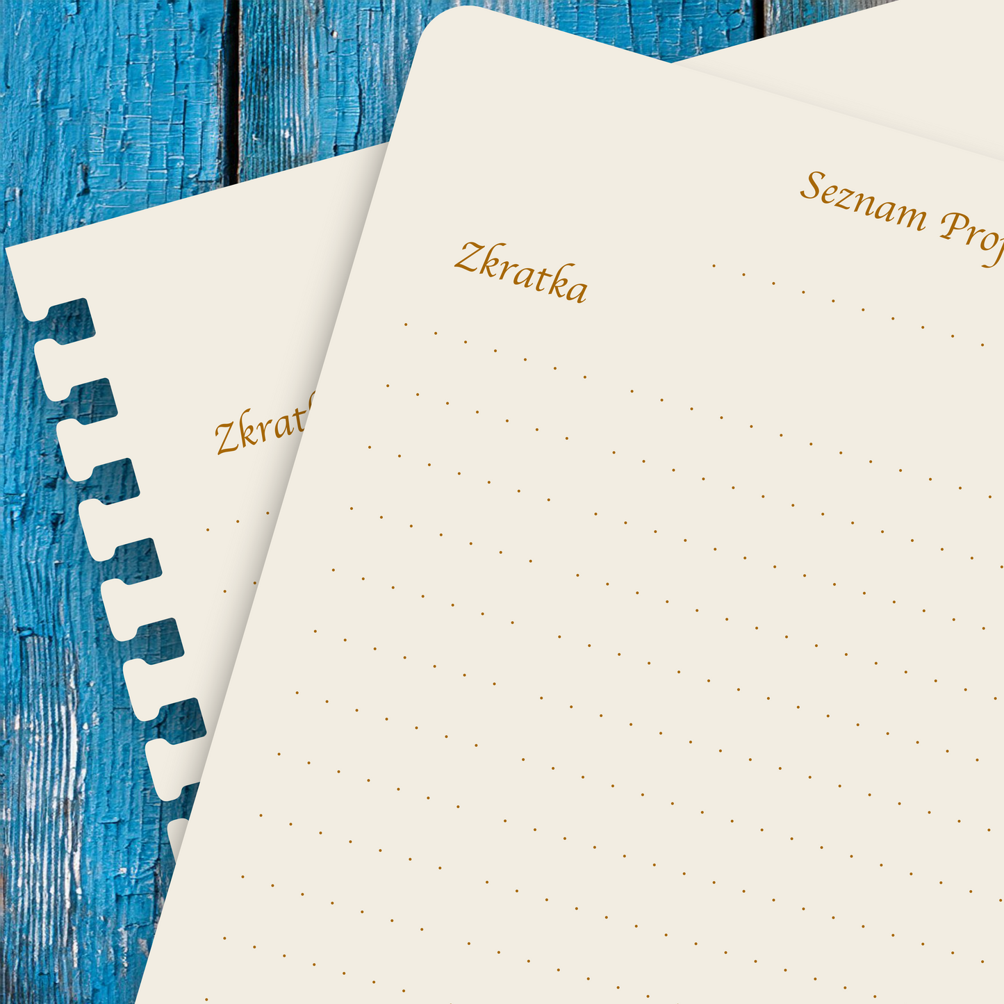 Příloha - Seznam projektů